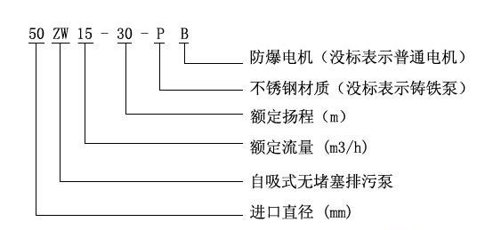 ZW型自吸式無堵塞好色网站在线观看型號意義