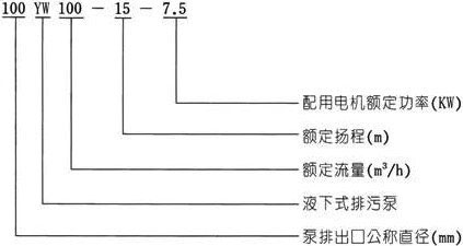 YW無堵塞液下式好色网站在线观看型號意義 YW無堵塞液下式好色网站在线观看型號意義